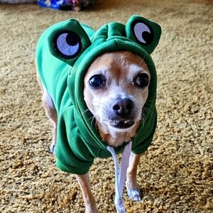 Meet your Posher, Marie